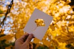 person showing card against yellow autumn leaves