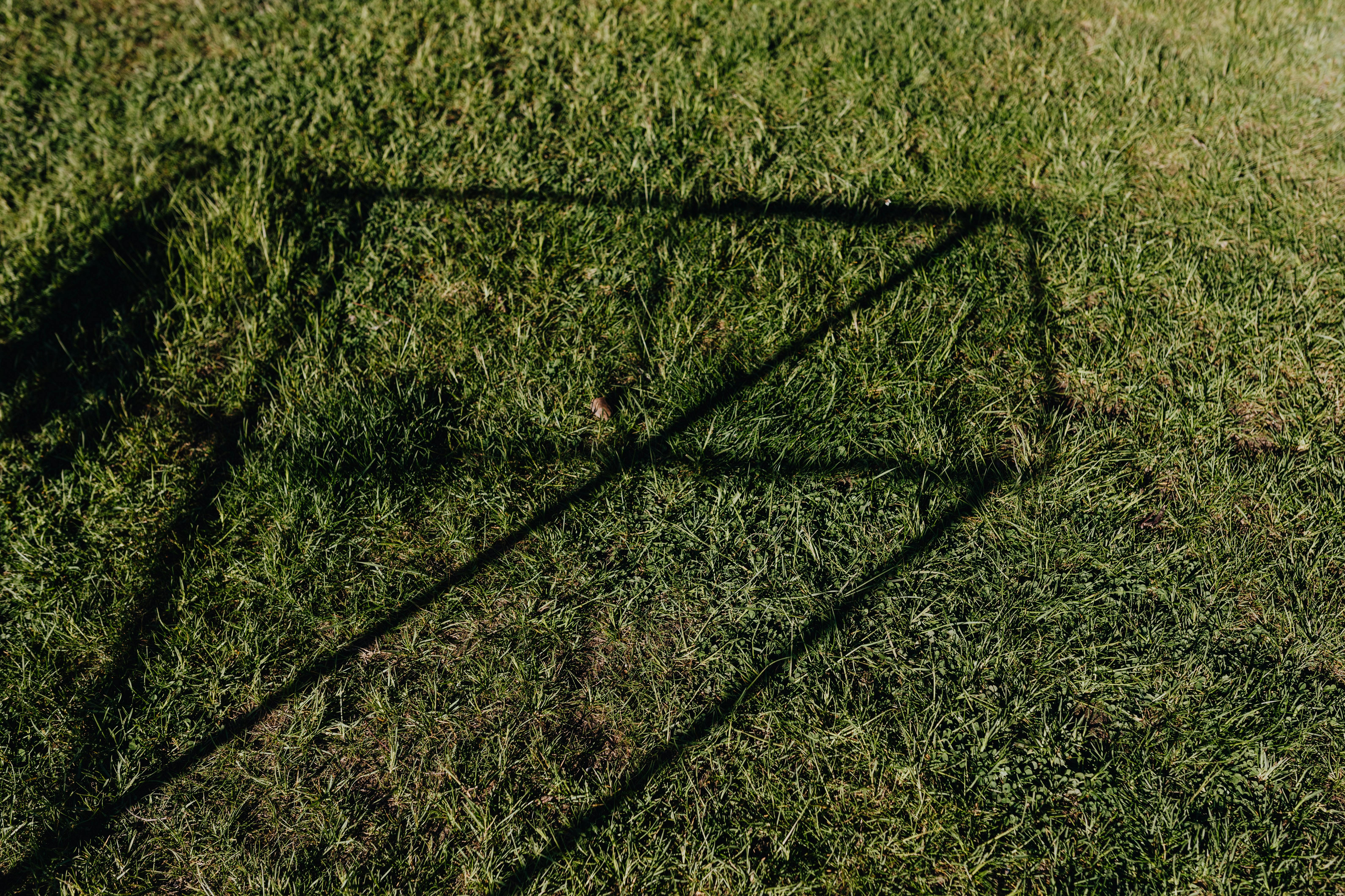 From above of green lawn with abstract shadow drawing on grass on sunny day