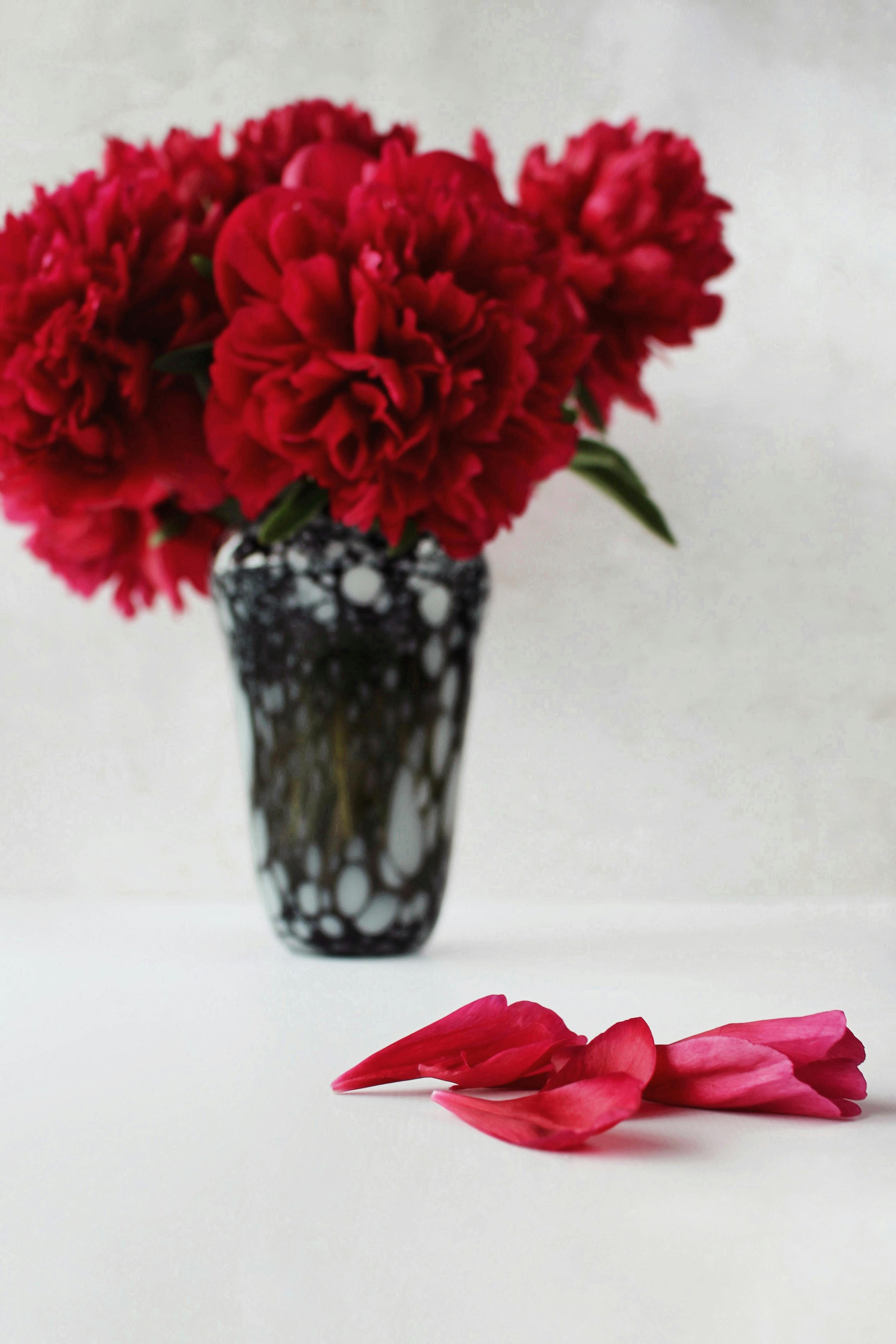 Red Flowers in Clear Glass Vase